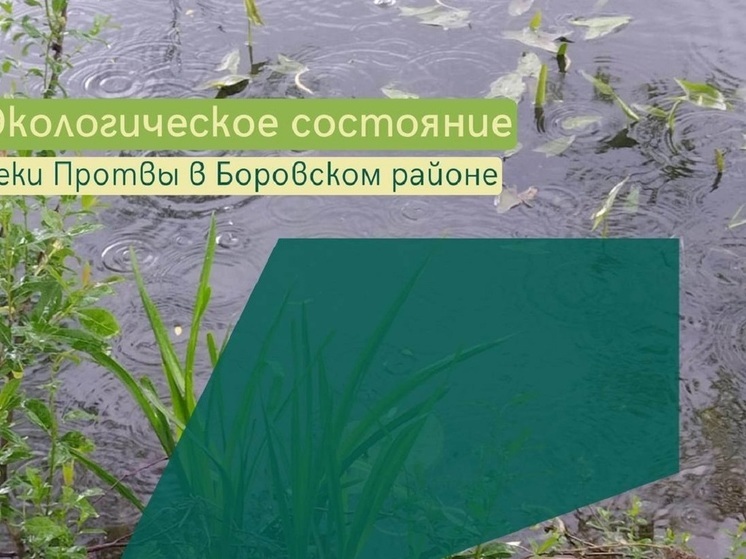  Минприроды Калужской области заявило о гибели рыбы на Протве