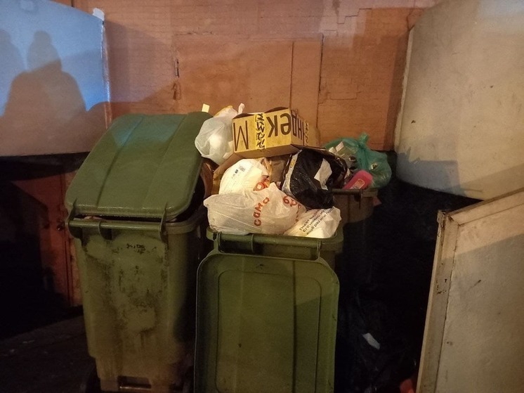 В Заполярье за неделю снизилось количество жалоб на уборку мусора