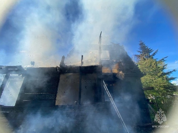 Огонь уничтожил дачный дом в Южно-Сахалинске