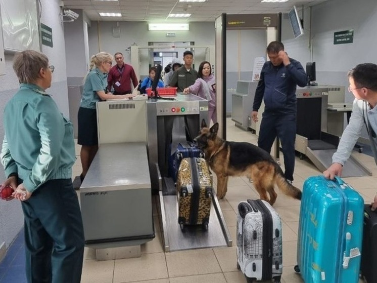 Таможенники на Сахалине оформили первых пассажиров прямого рейса в Харбин