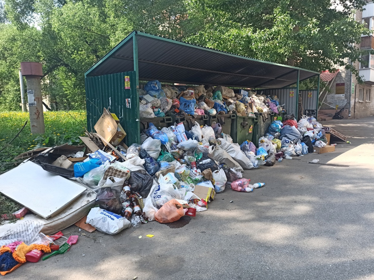 Удушающий смрад и куча мух: томичи пожаловались на груды мусора во дворах жилых домов по Тверской
