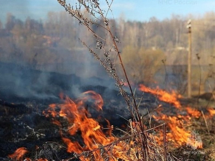 Пожарные потушили сухую траву на севере Сахалина