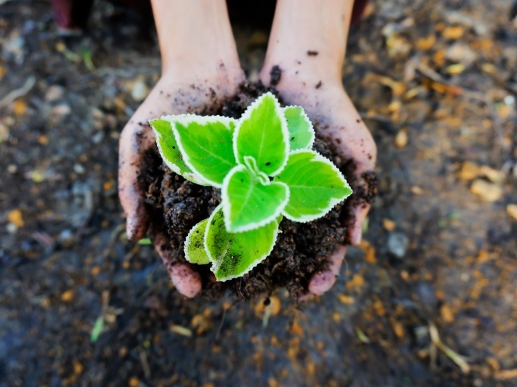 Подведены итоги премии «Лучшие ESG проекты России»