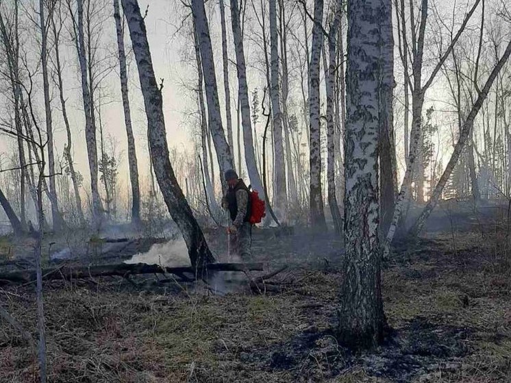 В Приангарье потушили 3 лесных возгорания