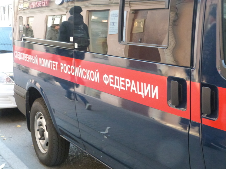 Петербуржца будут судить за взятку лесничему из Печенгского района