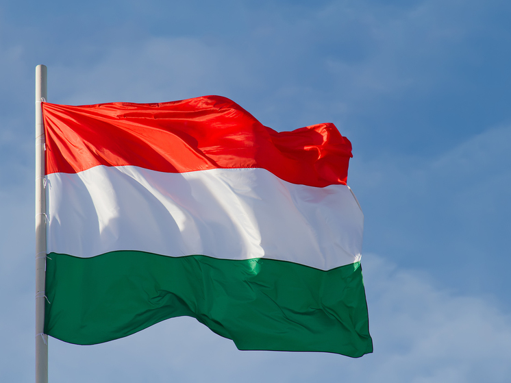 МИД Венгрии выразил опасение из-за поставок оружия на Украину