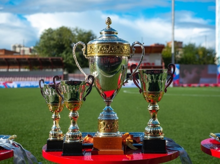 Детский футбольный турнир на «Кубок Игоря Акинфеева» пройдет в Химках
