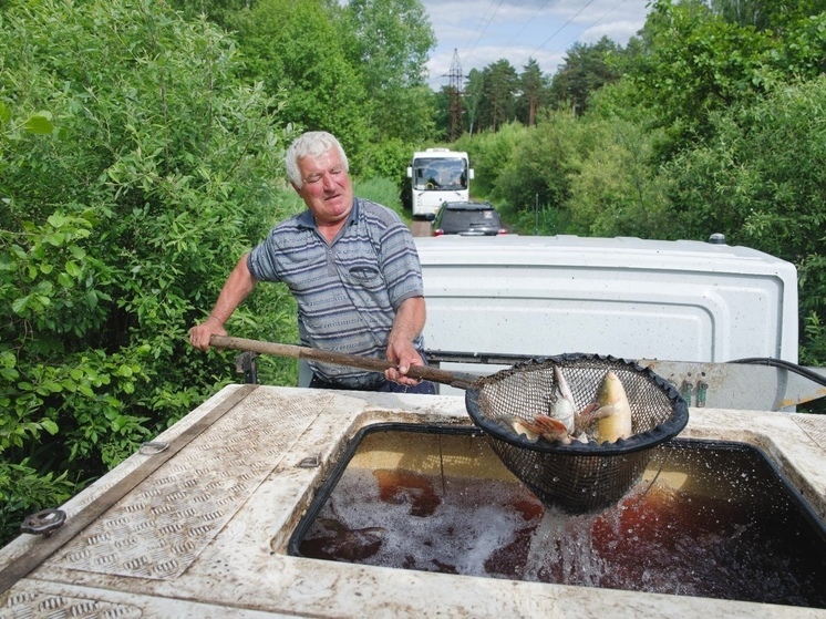 В Курской области выпустили более тонны рыбы в Копёнское водохранилище