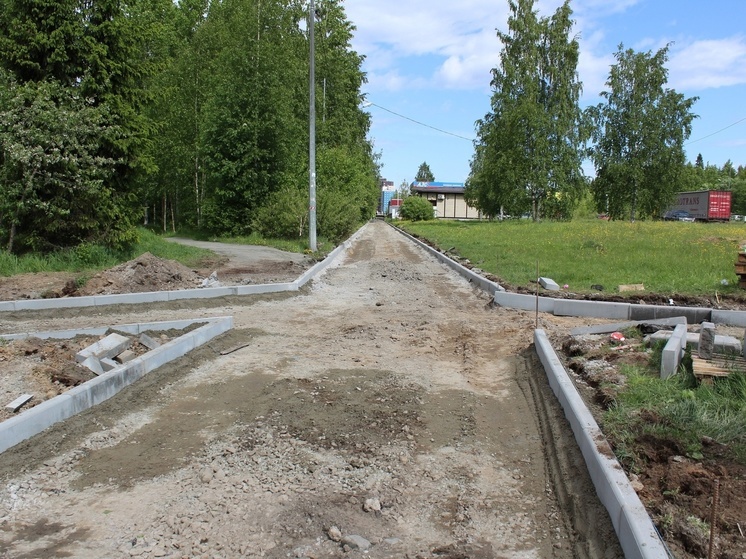 Дорогу к белкам Петрозаводска отремонтируют