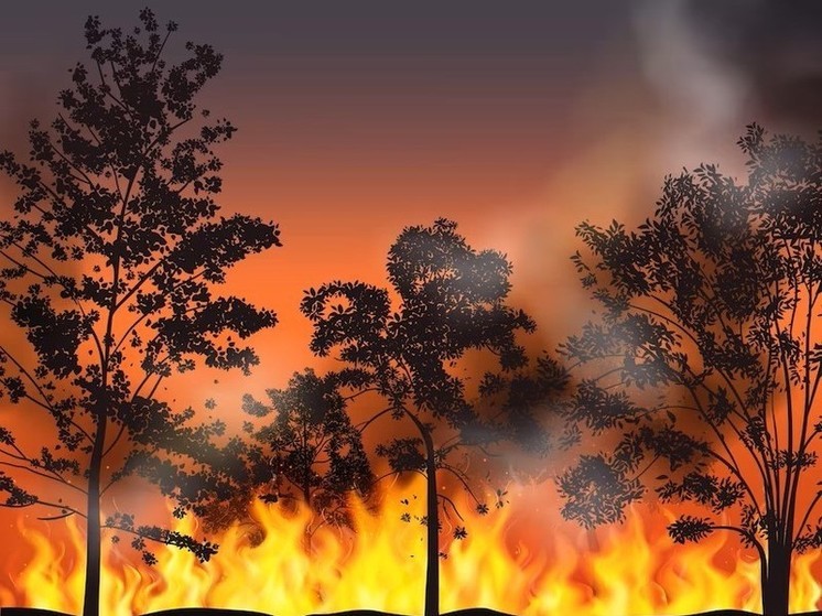 В северных районах Томской области 7 июня зафиксировано 14 лесных пожаров