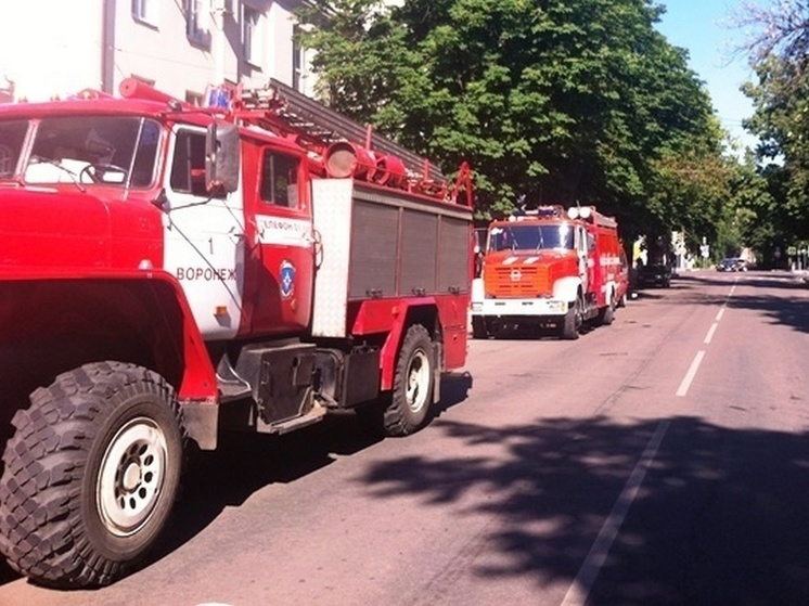 Из вспыхнувшей квартиры Воронежа эвакуировали угоревшего 94-летнего мужчину