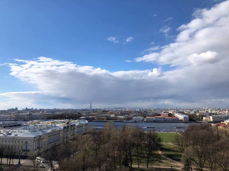 Без дождей и до +17 градусов: какой будет погода в Петербурге 7 июня
