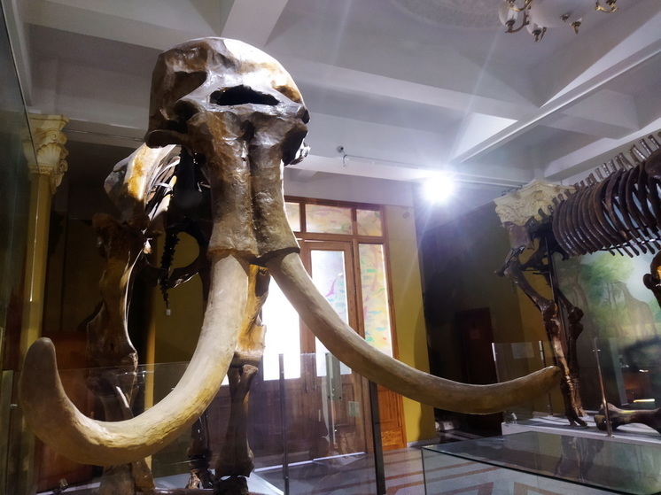 Казахстан – земля динозавров: сокровища палеонтологии