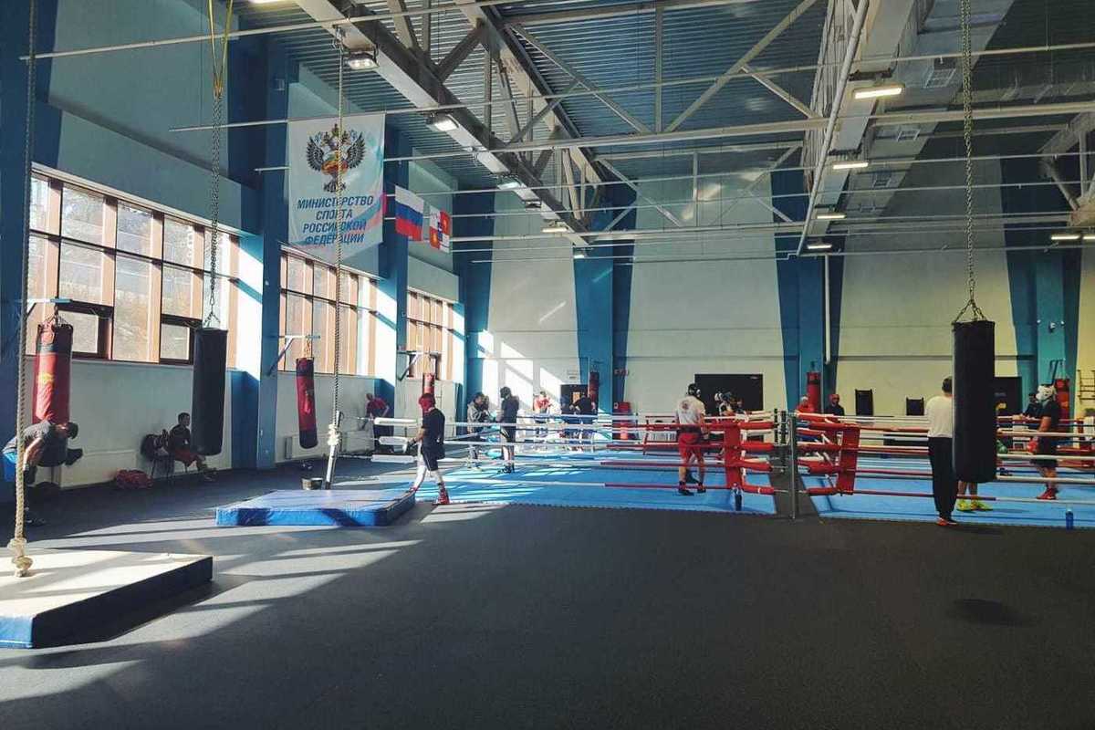Olympic medalists and world champions will hold boxing master classes in Krasnodar