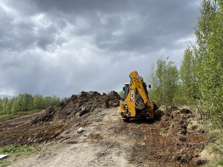 Мурманская прокуратура заинтересовалась вырубкой деревьев у Семеновского озера