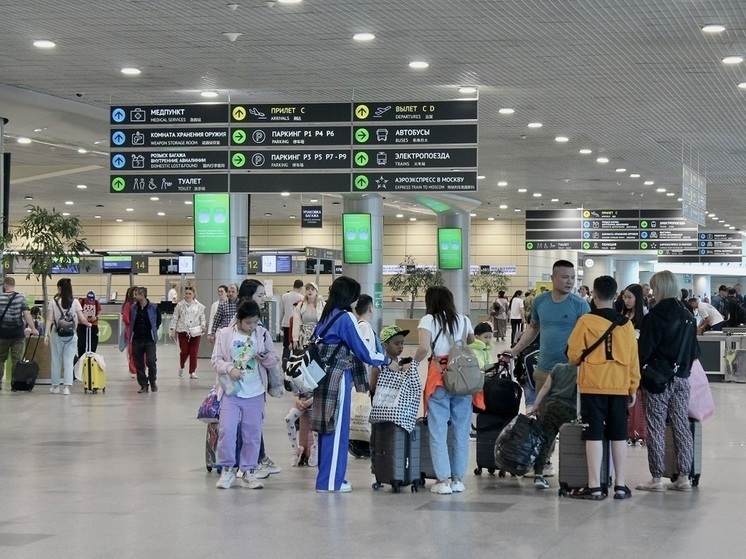  «Зелёный коридор» для юных пассажиров открыли в подмосковном аэропорту
