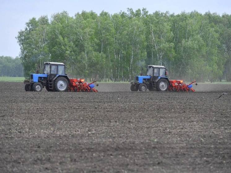 В Омской области закончили посевную кампанию