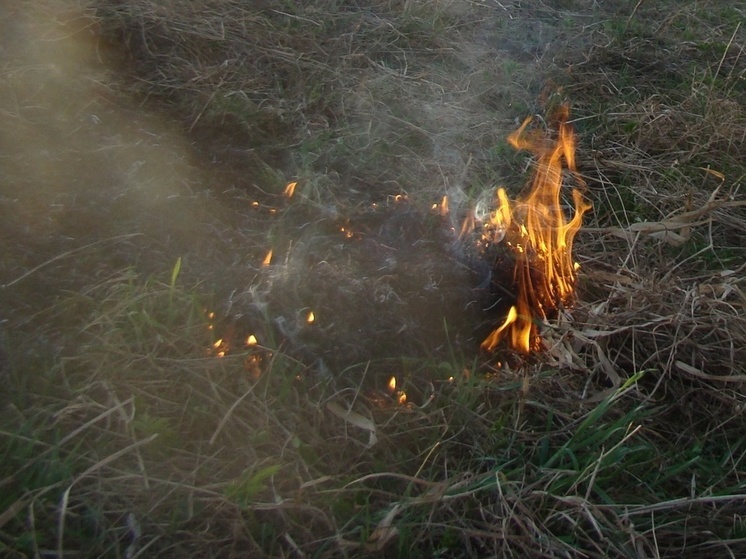 На Вологодчине ликвидировали еще один лесной пожар