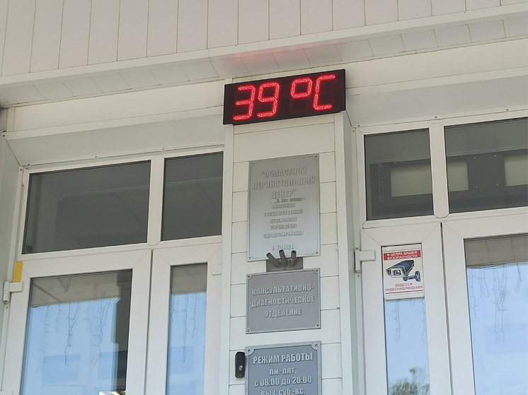 В Томске 7 июня зафиксировали температурный максимум в +39 градусов
