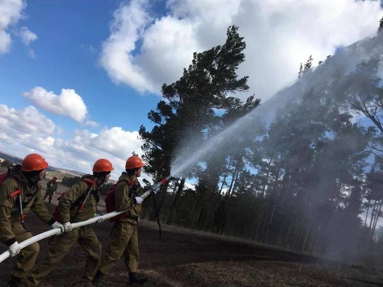 5 лесных пожаров произошло в Приангарье за сутки