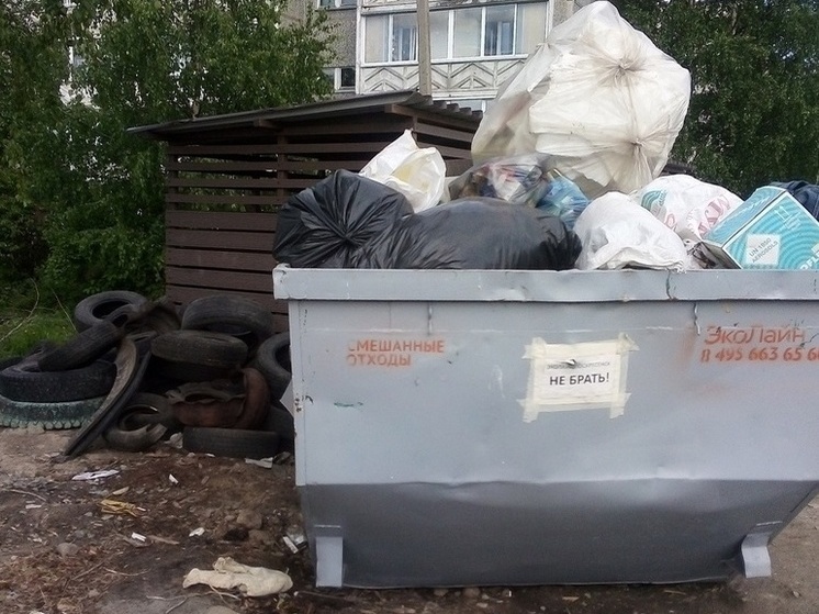  Жители Петрозаводска жалуются на новые контейнеры — бункеры