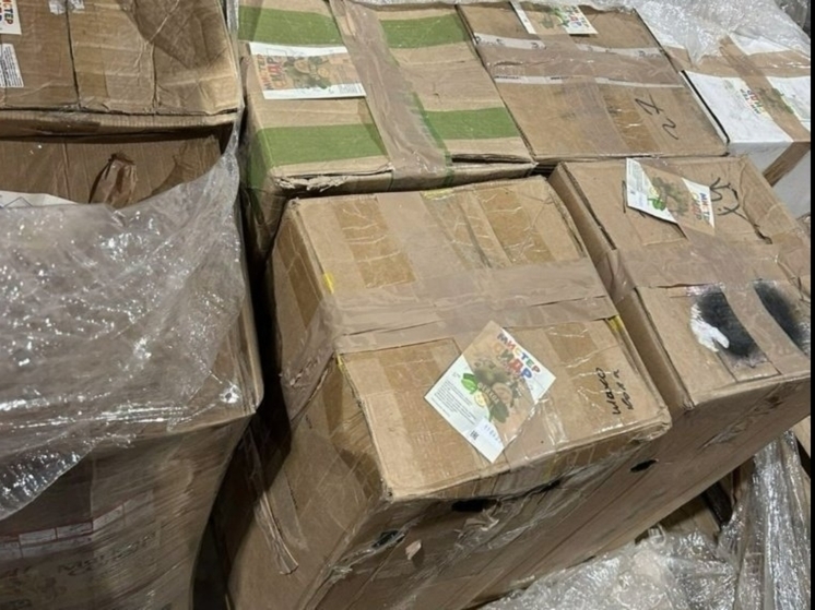 Большую часть опасного сидра изъяли со склада в Ижевске, рейды по магазинам продолжаются