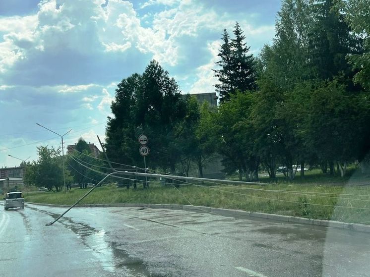 В Бердске ураганный ливень повалил деревья и оборвал провода