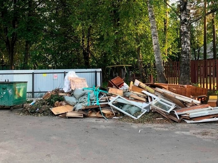 Прокуратура требует убрать несанкционированные свалки в брянском Сельцо