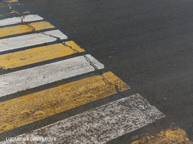 Власти Петрозаводска пообещали нарисовать «зебры» со стеклошариками у детсадов и школ