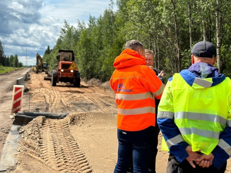 Дорогу Любытино – Неболчи – Бокситогорск отремонтируют к осени 2024 года