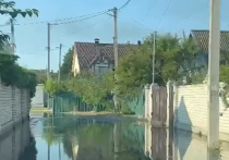 Уровень воды в Новой Каховке упал, но предстоит ещё много работы
