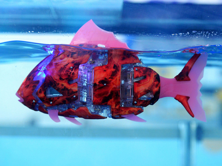 Российские изобретатели придумали аквариум с рыбами-роботами