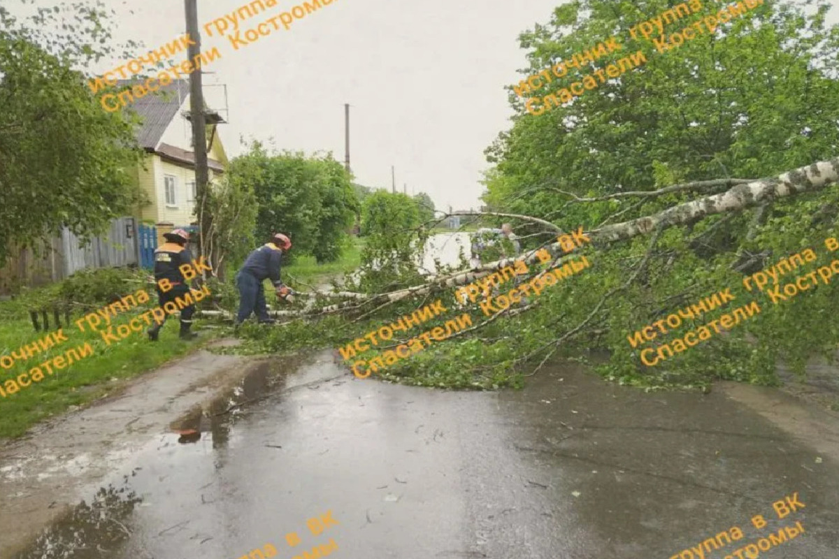 Упавшее дерево вызвало пробку в Костроме — но это еще не всё