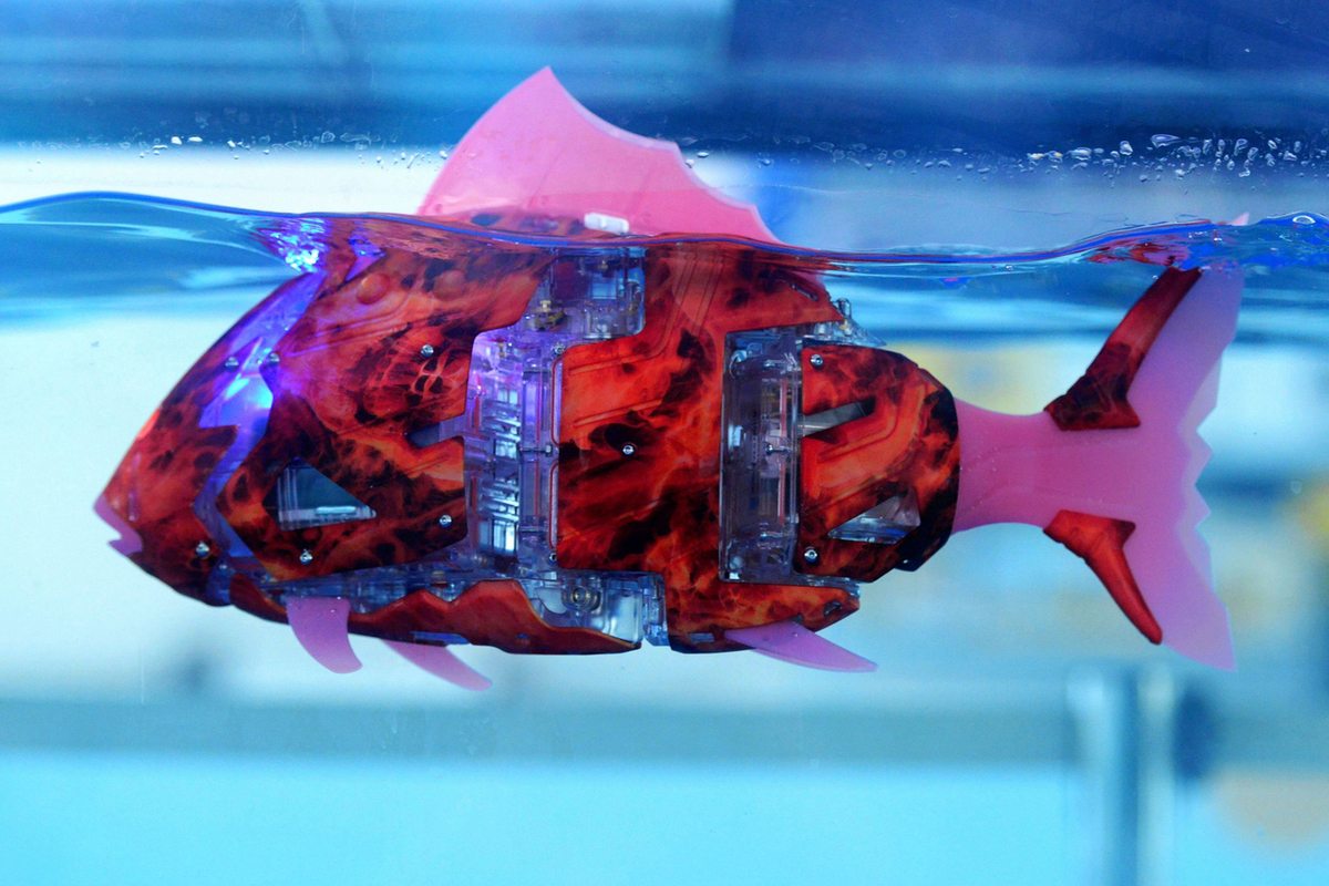 Russian inventors came up with an aquarium with robotic fish
