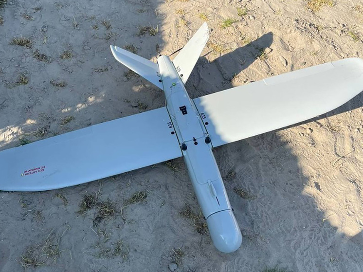 Старовойт: в Курской области пограничники посадили дрон ВСУ