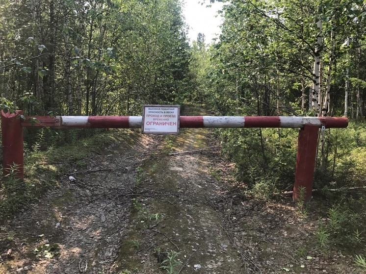 В Красноселькупском районе запретили ходить и ездить в лес из-за пожаров