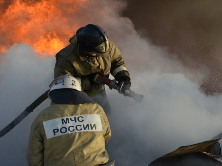 Пожарные в Томске вывели 6 человек из горевшего дома на Лазо