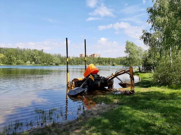 Очистку Светлоярского озера проведут в Нижнем Новгороде частями до осени 2023 года