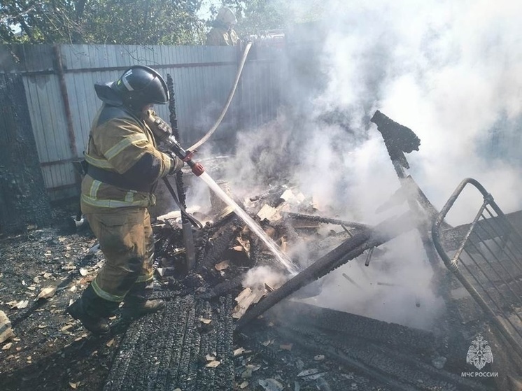 В Курской области за сутки из 10 пожаров потушили 8 возгораний мусора