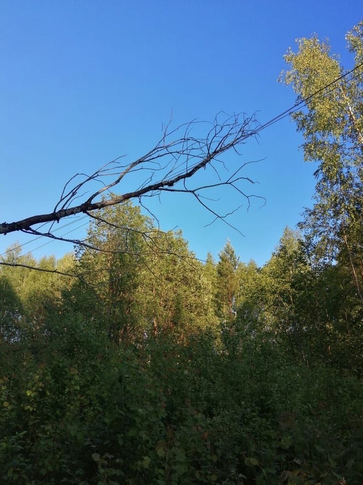 Жителям Тверской области, пострадавшим от грозы, вернули электроснабжение