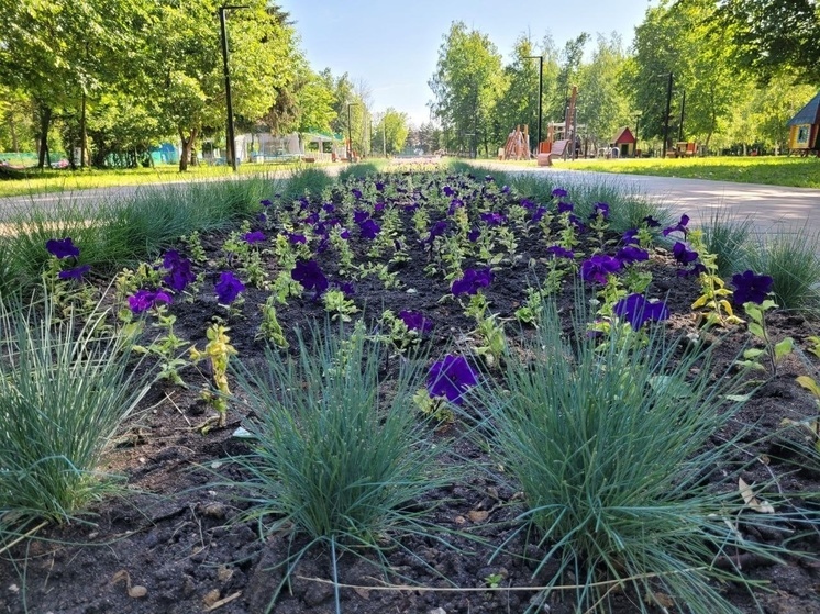 Благоустройство и проведение Дня города обсудили на совещании в парке в Ливнах Орловской области