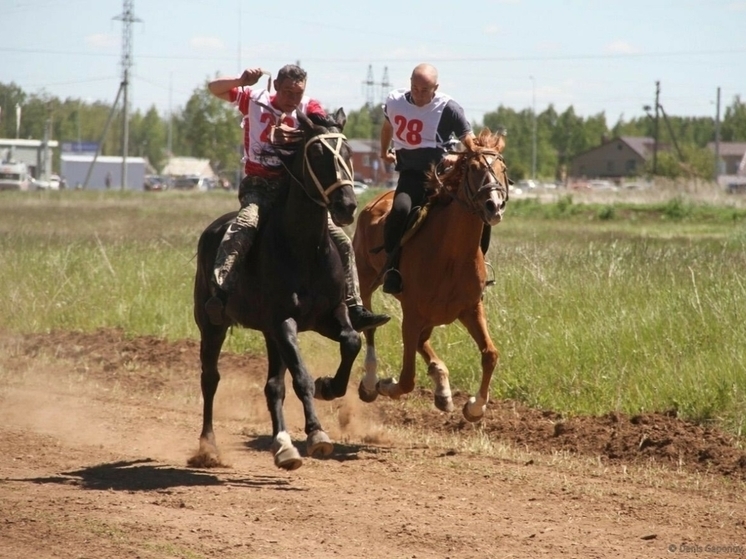 На Сабантуе в Татарстане представят возрождаемую традицию борьбы на лошадях