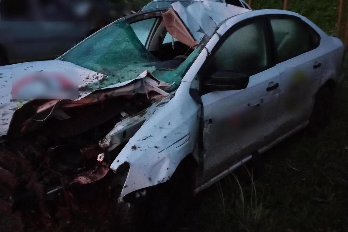 Костромские трагедии: водитель «Фольксвагена» погиб при столкновении его машины с лосем