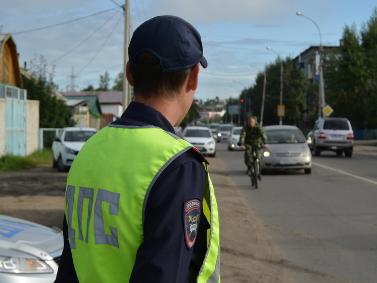 Автоэксперта Стрельникова оштрафовали за номер на его кабриолете в Чите