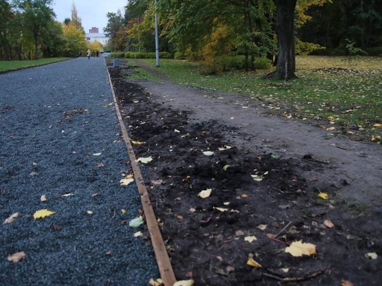 Подрядчика, благоустроившего парк «Ямка» в Петрозаводске, отдали под суд
