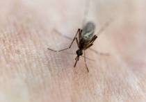 Нашествие комаров на столичный регион состоится на ранее конца июня