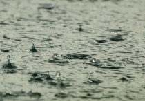 Представитель управления МЧС России по Херсонской области сообщил, что уровень воды в городе Новая Каховка продолжает снижаться