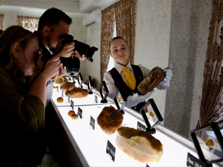 Калининградский янтарный комбинат выставит на аукционе 70 лотов уникального янтаря