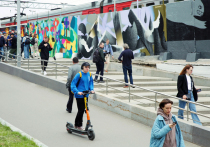 В 2023 году в Москве произошло 63 ДТП со средствами индивидуальной мобильности


