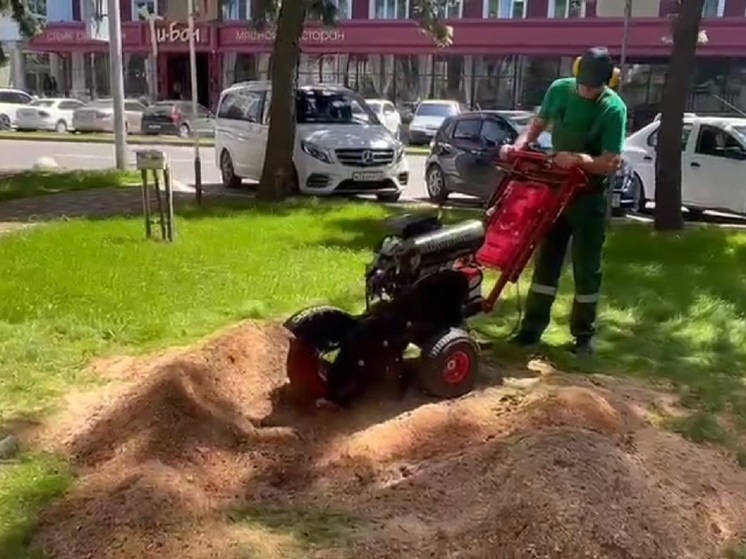 В Ставрополе появилась специальная мелкогабаритная техника по корчеванию пней